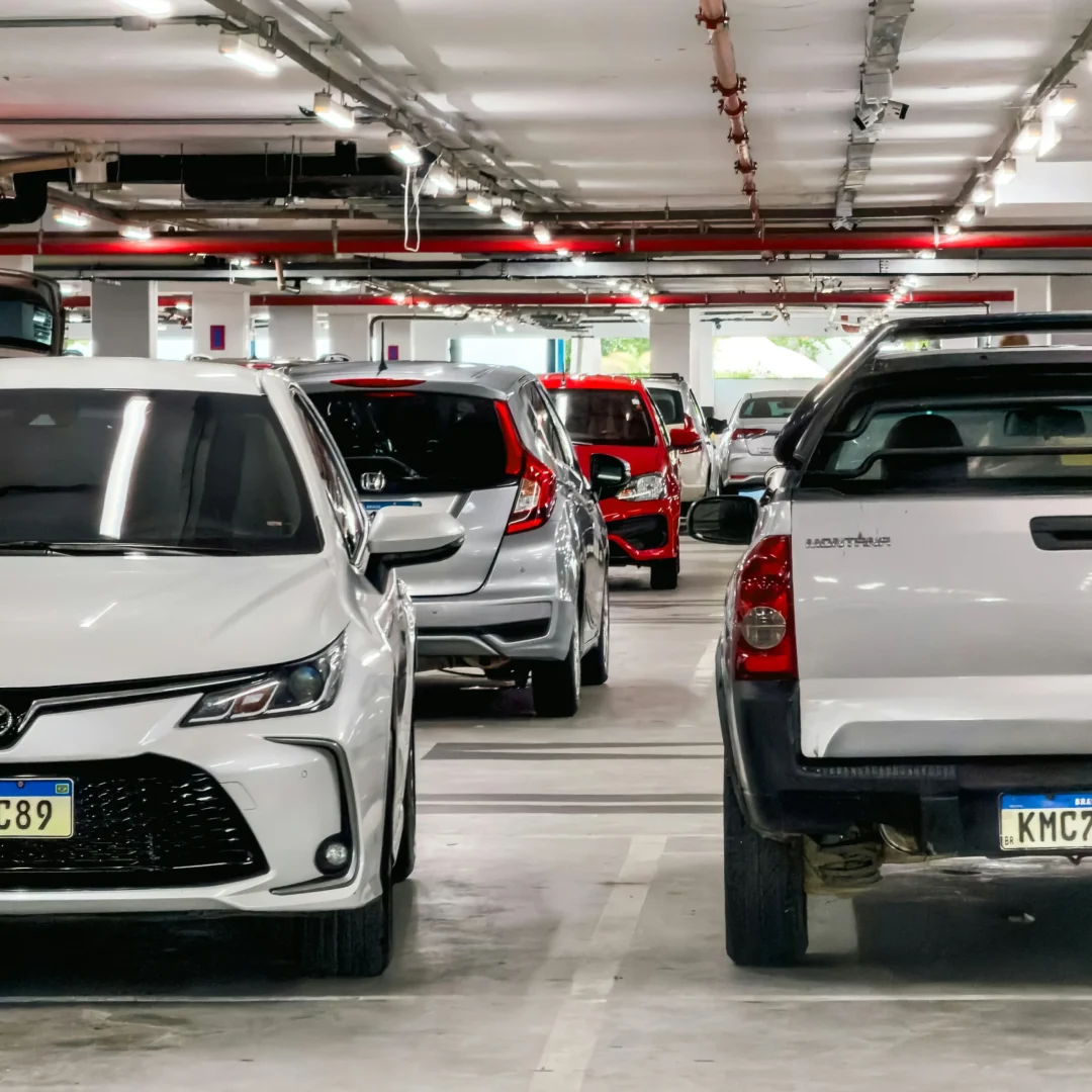 pexels-japy-34337859